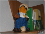 fotografie-8