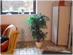 fotografie-32