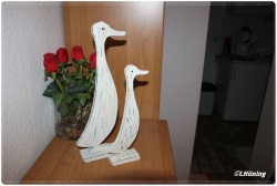 fotografie-39