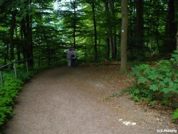 fotografie-6