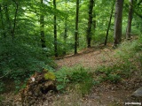 fotografie-8