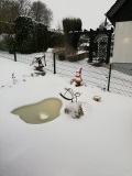 fotografie-10