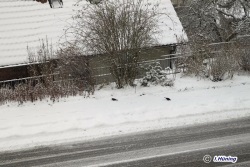 fotografie-2