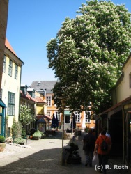 fotografie-22