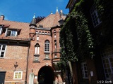 fotografie-4