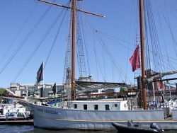 fotografie-16