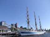 fotografie-72