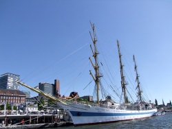 fotografie-72