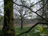 fotografie-4