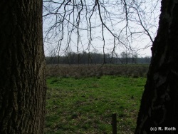 fotografie-7