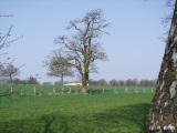 fotografie-13