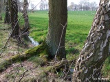 fotografie-16