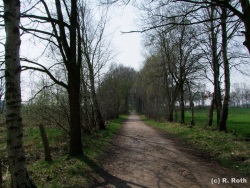 fotografie-17