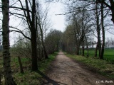 fotografie-17