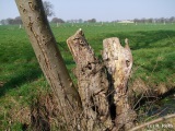 fotografie-21