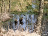 fotografie-39