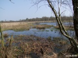 fotografie-63