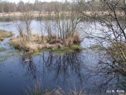 fotografie-68