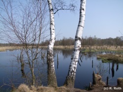 fotografie-79