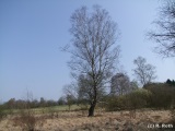 fotografie-103