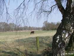 fotografie-105