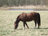 fotografie-109