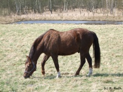 fotografie-110