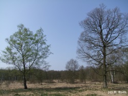 fotografie-119