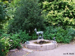 fotografie-3