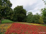 fotografie-6