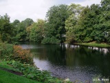 fotografie-8