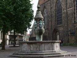 fotografie-11
