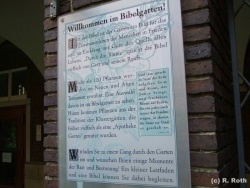 fotografie-63