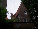 fotografie-89