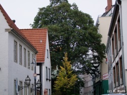 fotografie-104