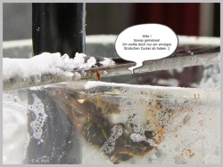 fotografie-5