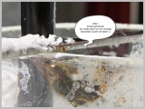 fotografie-5