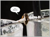 fotografie-6