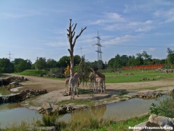 fotografie-30