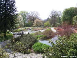 fotografie-15