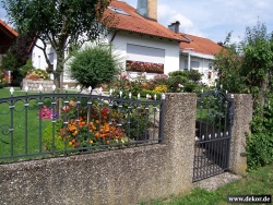 fotografie-6
