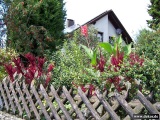 fotografie-8