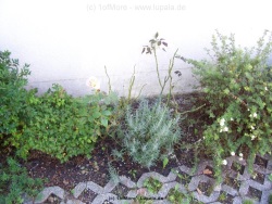 fotografie-3