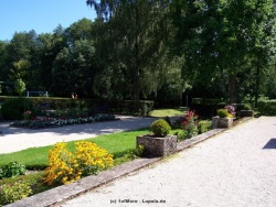 fotografie-6