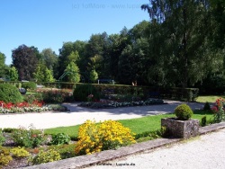 fotografie-8