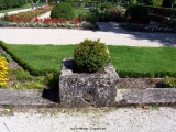 fotografie-9