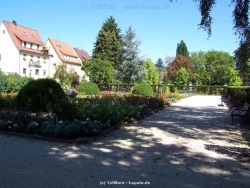 fotografie-13