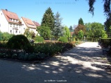 fotografie-13