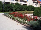 fotografie-19