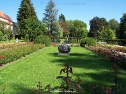 fotografie-24
